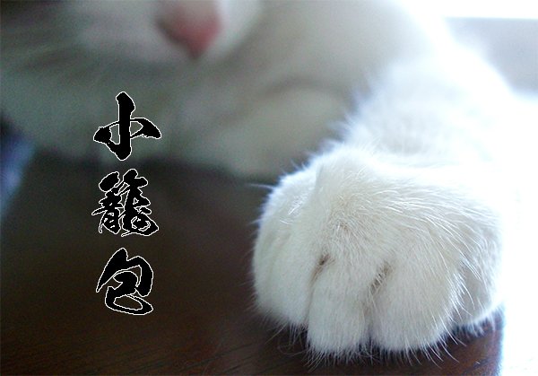 288os's tweet photo. 異例の呼びかけ #食べるぜニッポン 安全・安心・おいしい日本水産物 ホタテ5粒　バフンウニ、海鮮小籠包 取り揃えてお待ちしています #リモートねこ握手会 https://t.co/WULi3RrCxb