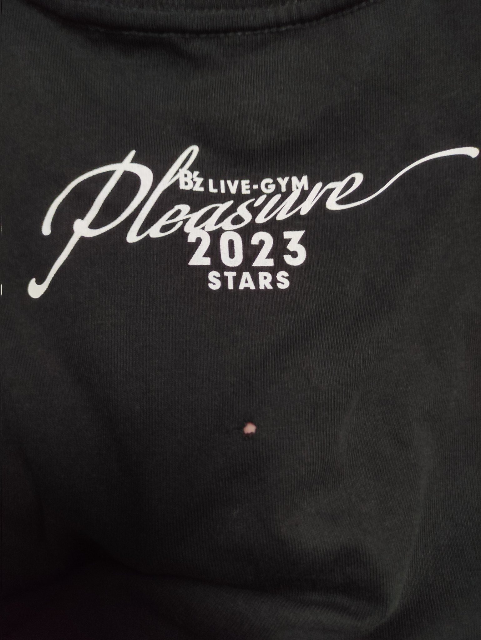 専用✨B'z LIVE Tシャツ Lサイズ 2023  STARS GOODS