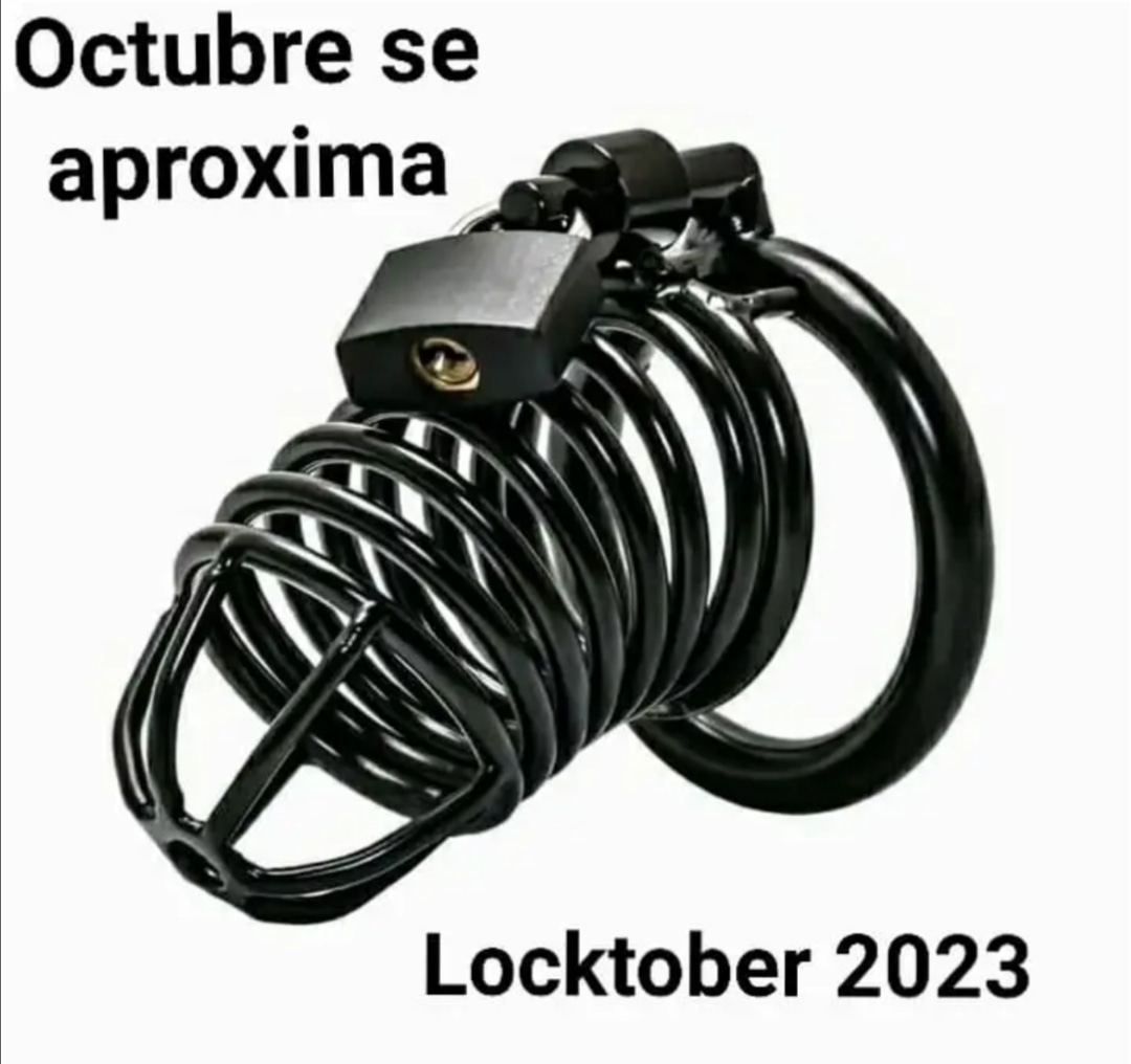 Pegasus_Shadowsky (@pegasushadowsky) on Twitter photo 