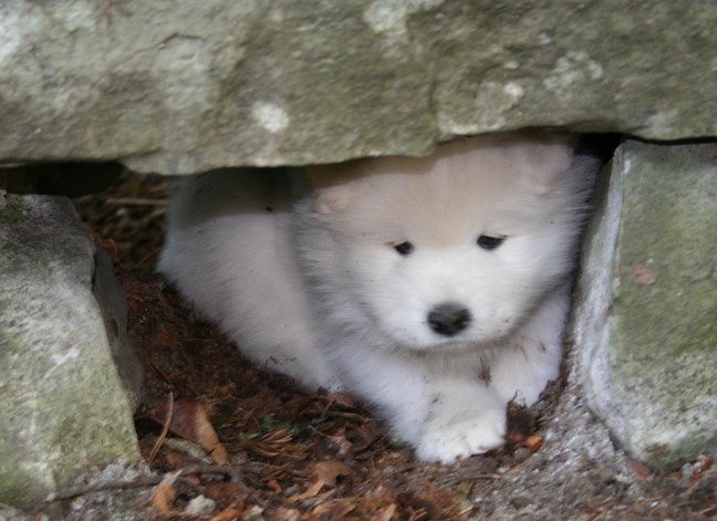 บ้บ tweet media