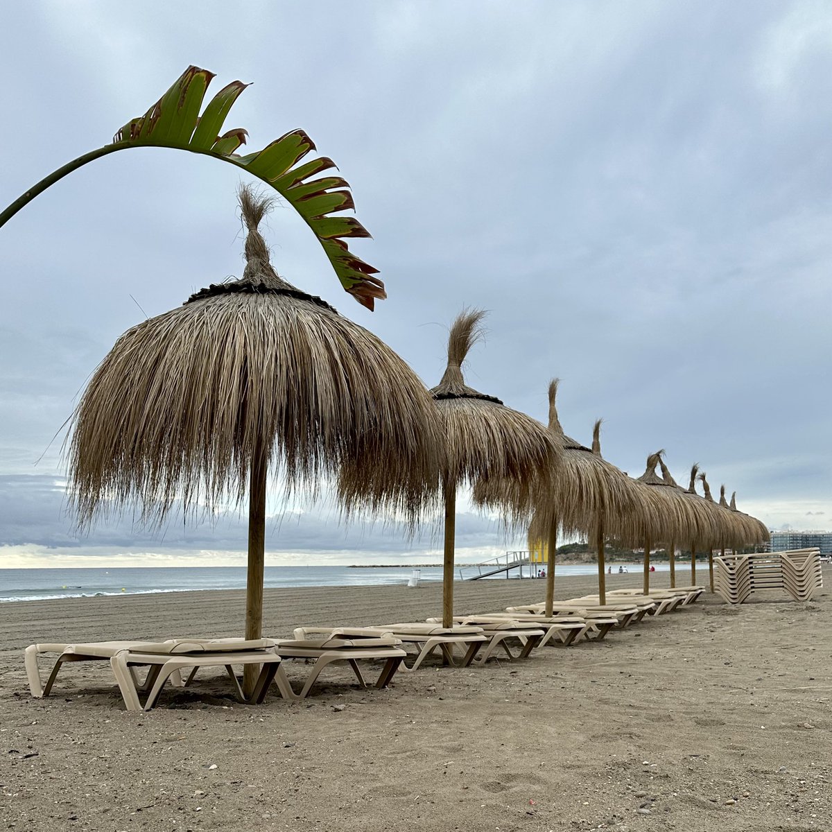 More beach scenes …. #LaPineda #beaches #NaturePhotogaphy #beachlife #iphonephotoacademy