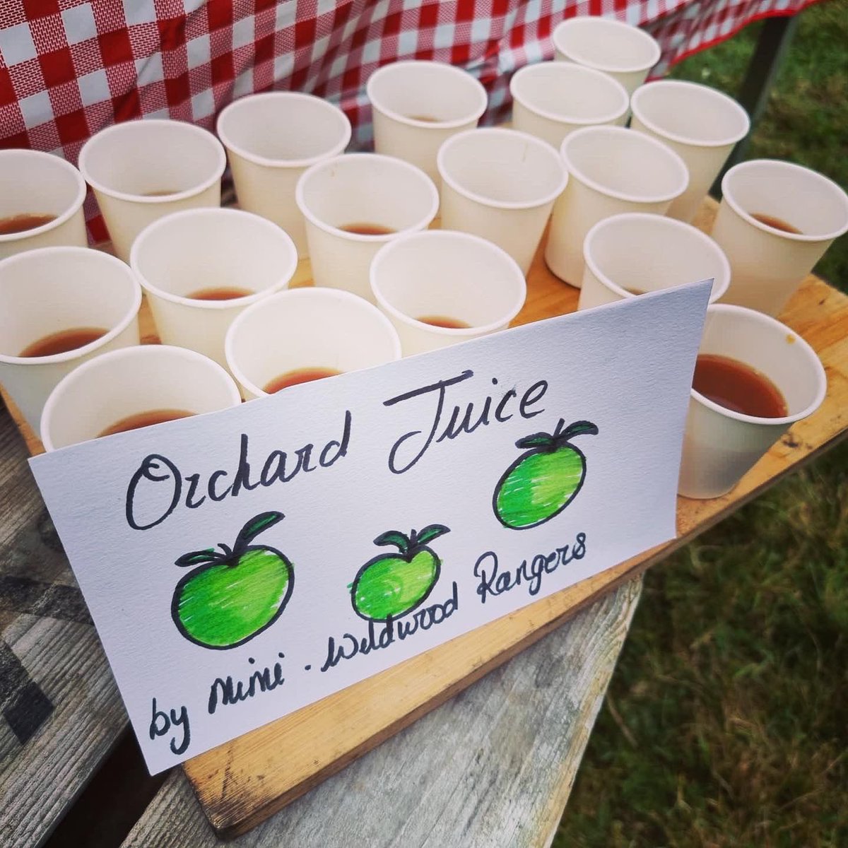 The day has arrived!!! Bring your apples, enjoy the many stalls, games for children, maypole dancing, arts &amp; crafts and many more. Your support helps us in raising funds for our local community #burnhambeeches #farnhamcommon #orchardday