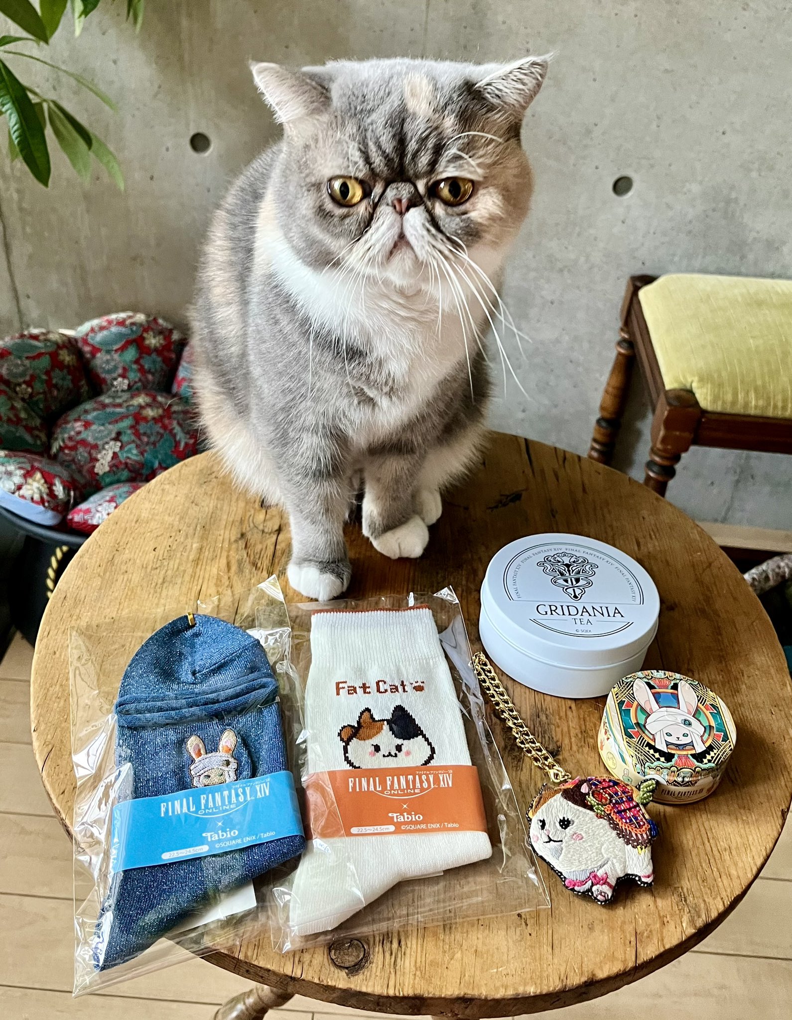 FF14 ファットキャット タマオワールド tamaoworld 伊勢丹
