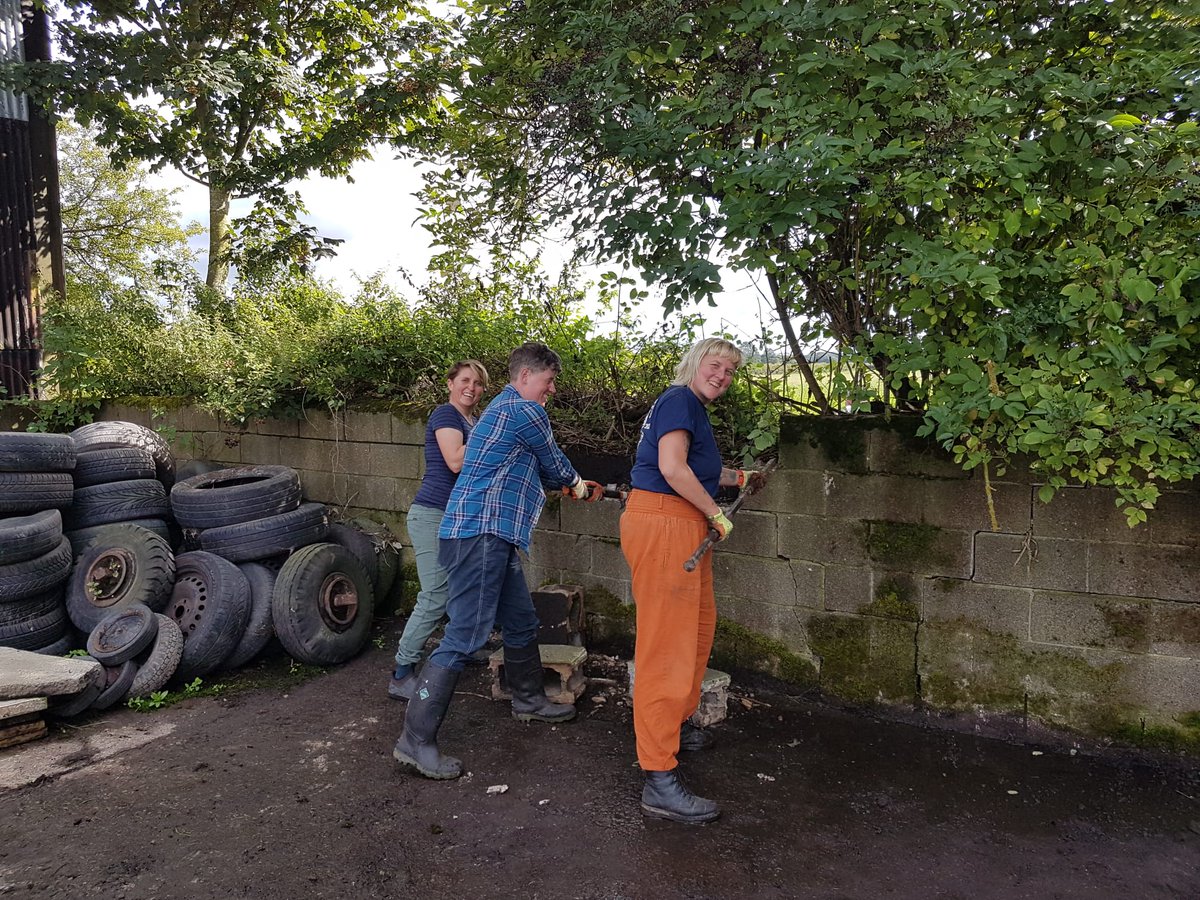 Another busy volunteer weekend here at Kindling Farm. If you are a member you should have received your latest bulletin with all the opportunities to help out this Autumn.