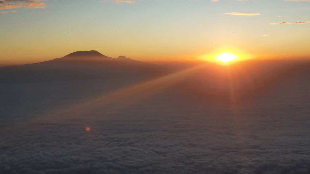 ShahToursTZ's tweet photo. weekend bliss:
Meru's Golden Hour: When the African sun paints the sky in shades of gold, casting a mesmerizing glow over the untamed beauty of Meru National Park. 🌄🦓 #MeruMagic #GoldenHourSplendor"

For bookings and inquires please Email us at info@shah-tours.com https://t.co/EhfHPAdjl3