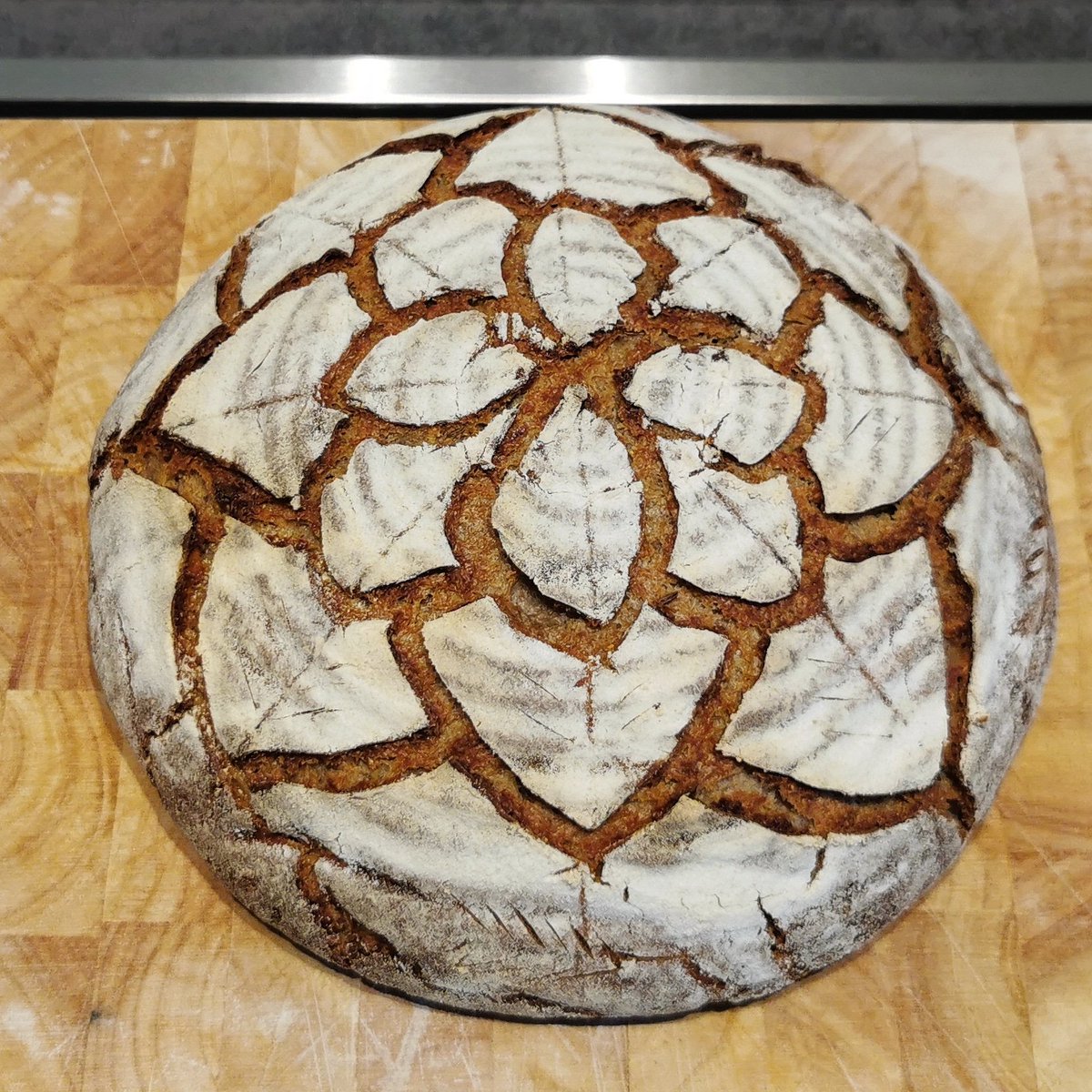 SteyManuel's tweet photo. Es wird Herbst
#papabackt #sauerteig #sourdough #breadscoring #gusstopf #kuemmel https://t.co/Oy2gFYxH8c