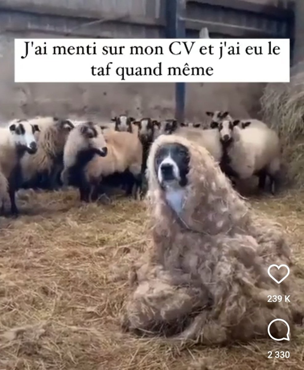 Romuald Moulin tweet media