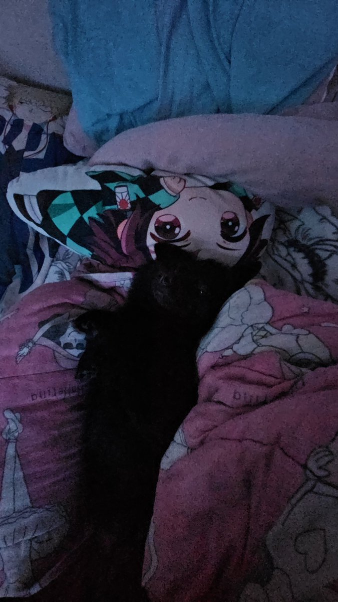 AnimeKittyLissy's tweet photo. A thread of dog pictures 🧵 https://t.co/gBrKgfNJGO