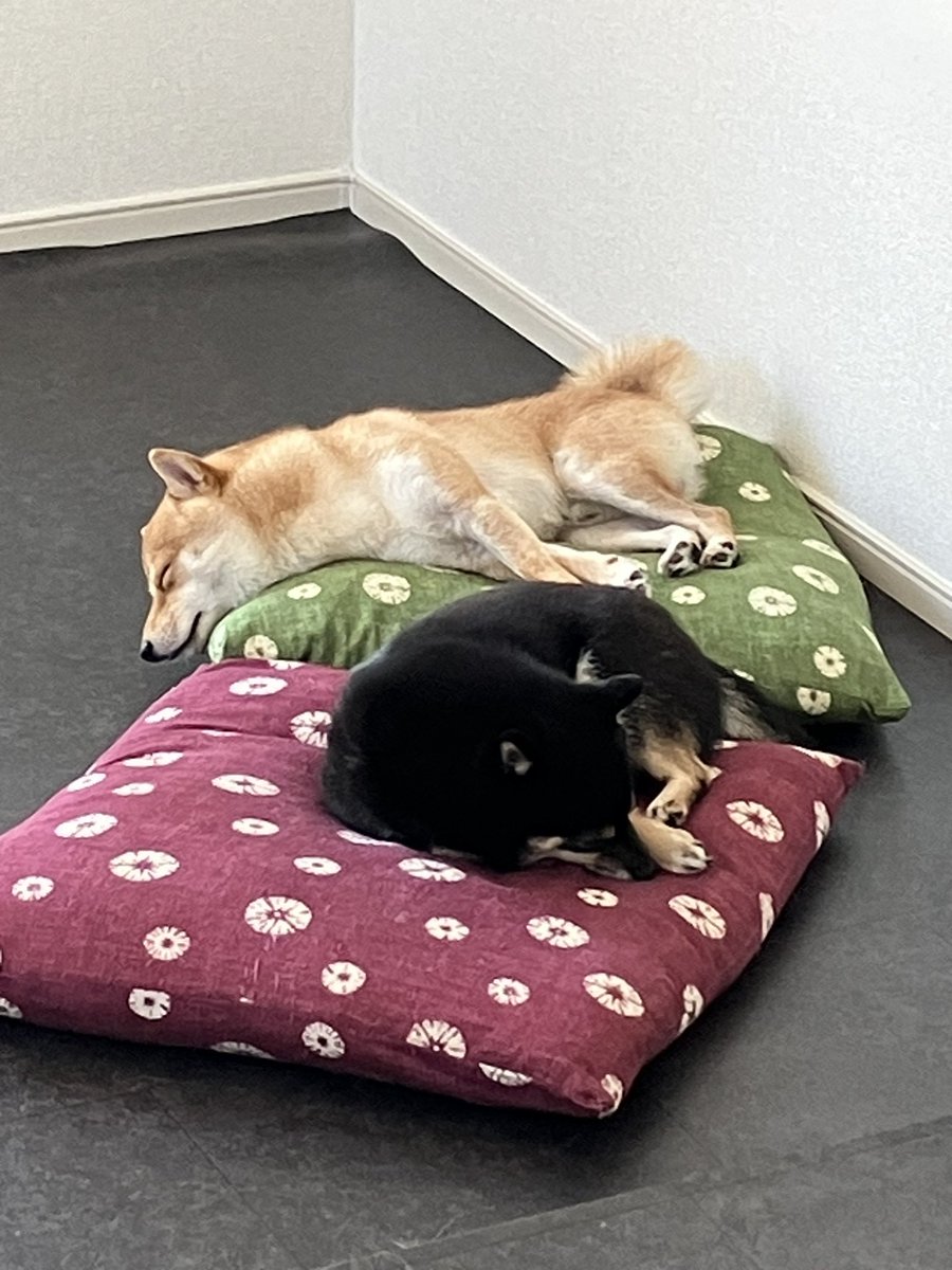 狩り終了のお知らせ