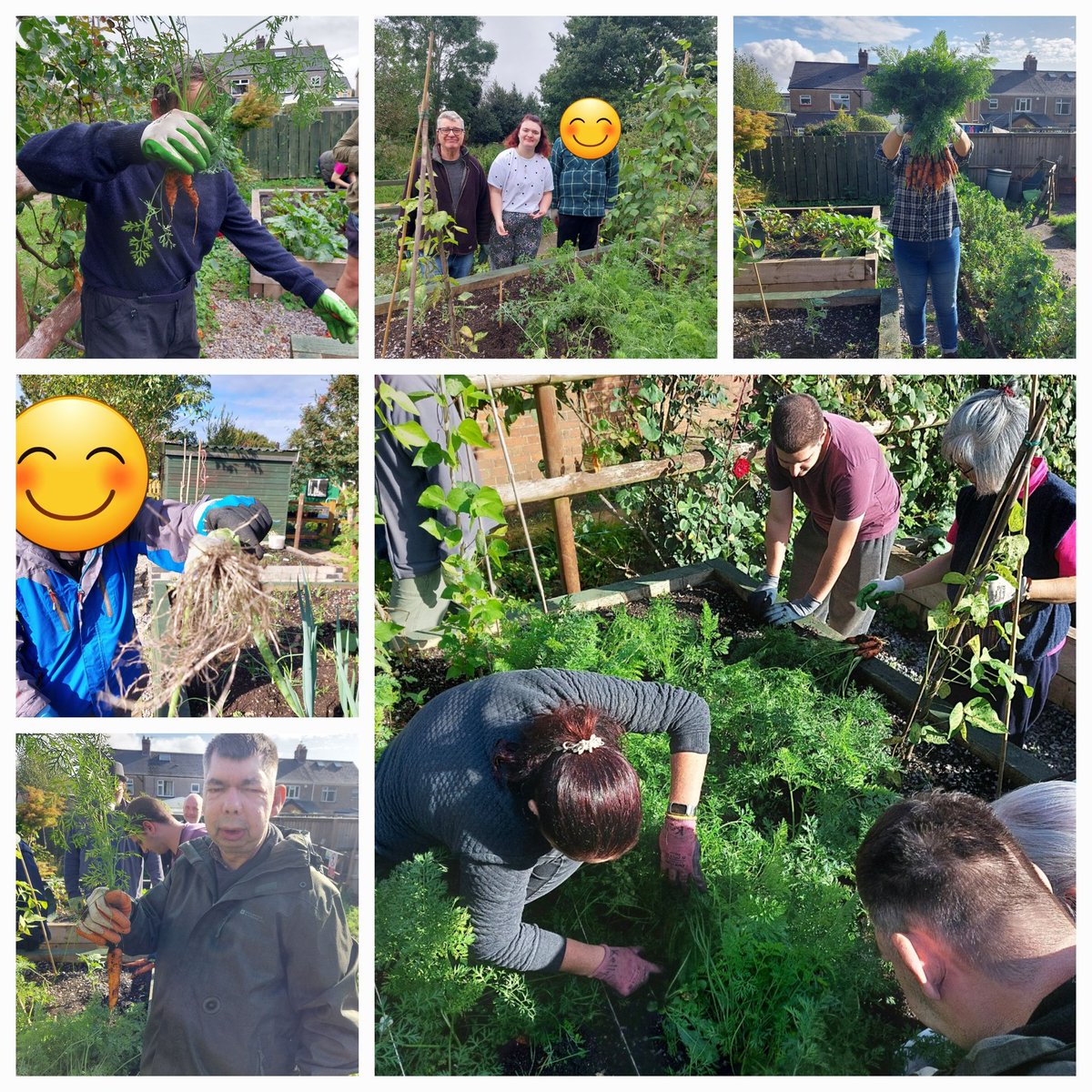 StPetersComm's tweet image. Tasty treats this week too 🥒🌶🥕🧅🫛The last few crops harvested .... what a wonderful group of volunteers we have attending each week. 👏