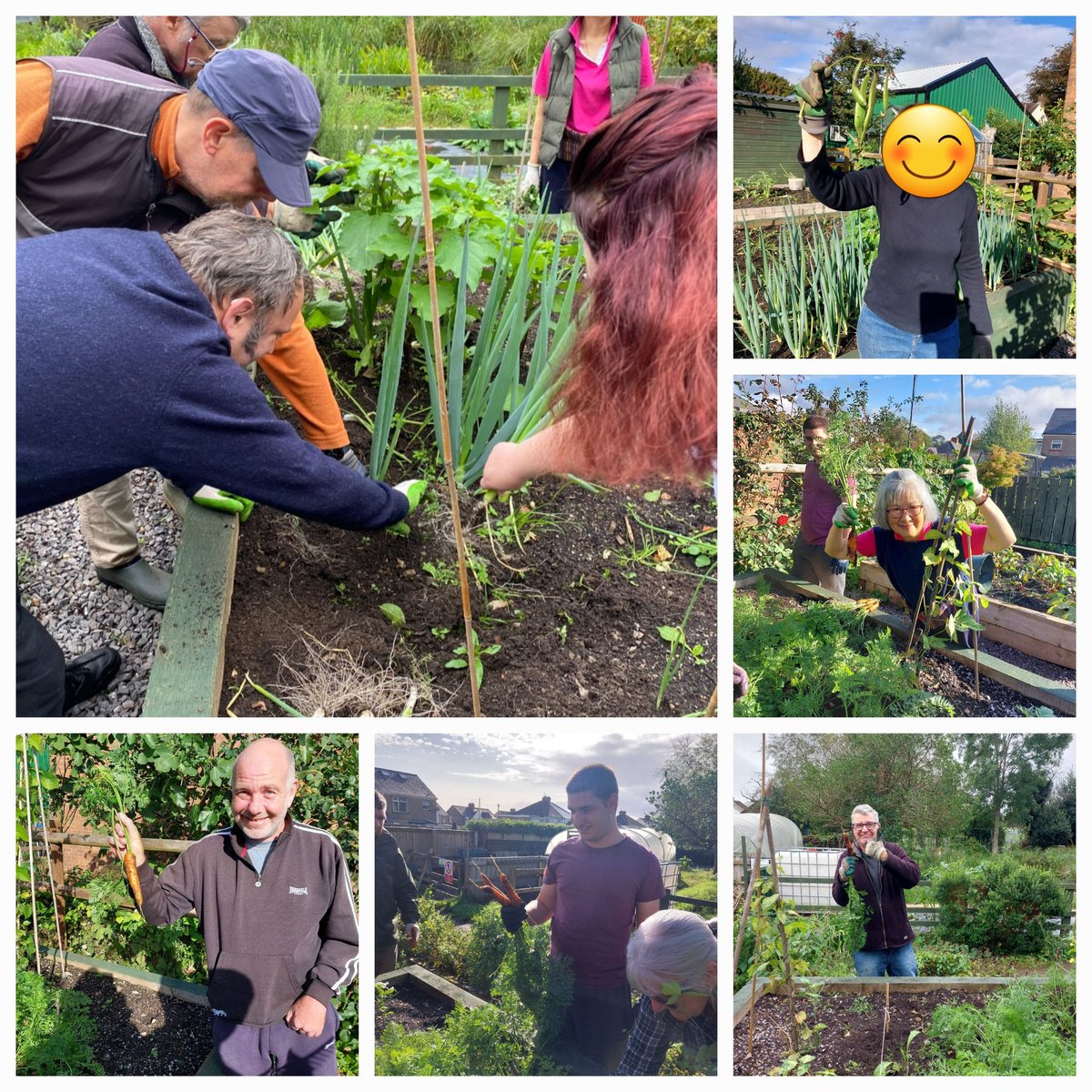 StPetersComm's tweet image. Tasty treats this week too 🥒🌶🥕🧅🫛The last few crops harvested .... what a wonderful group of volunteers we have attending each week. 👏