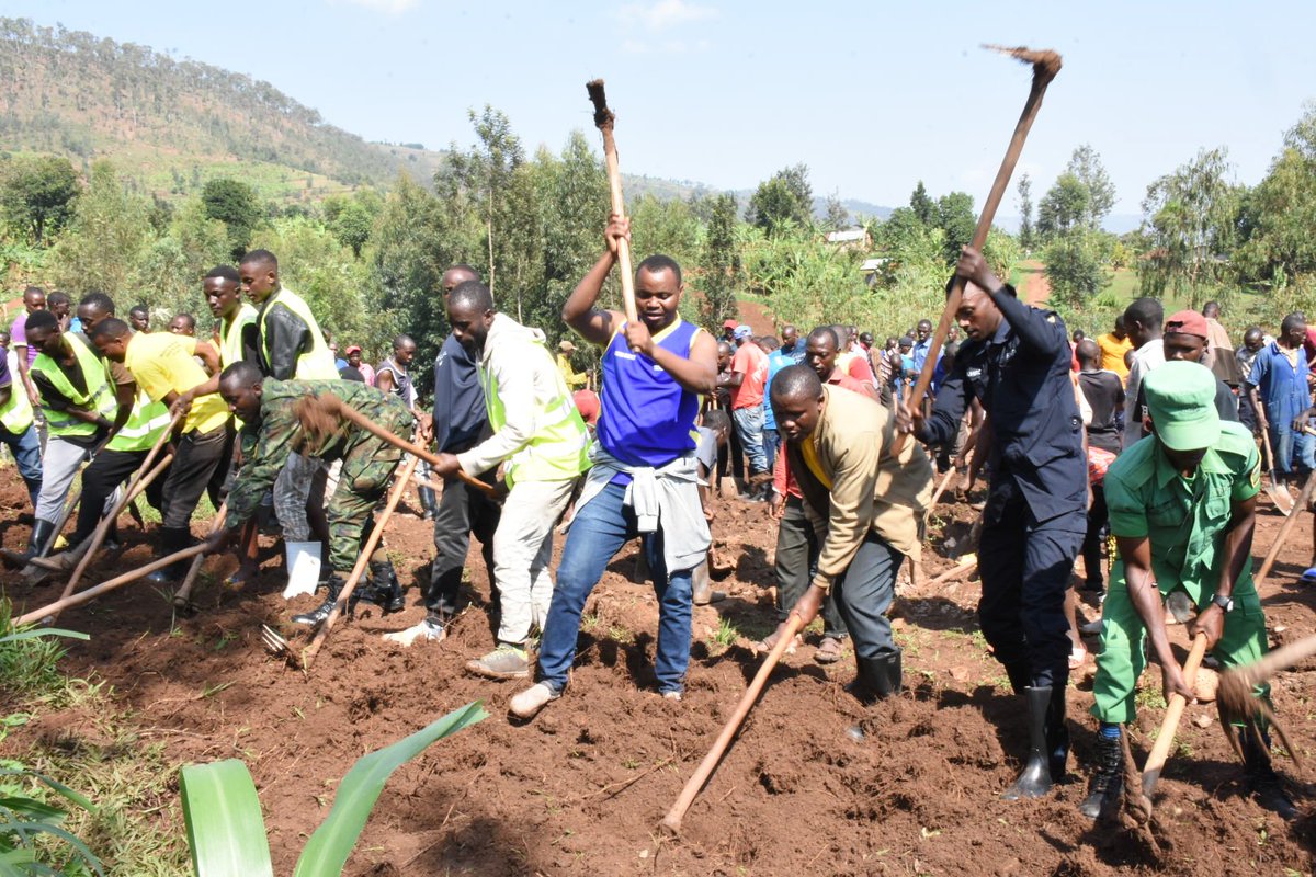 GatsiboDistrict's tweet photo. Kuri uyu wa Gatandatu, mu Mirenge 14 igize Akarere ka @GatsiboDistrict hakozwe umuganda rusange usoza ukwezi kwa Nzeri 2023 , ku rwego rw'Akarere wakorewe mu Kagari ka Nyagisozi mu Murenge wa Kageyo @RwandaLocalGov @RwandaEast https://t.co/DsZqYDLBlu