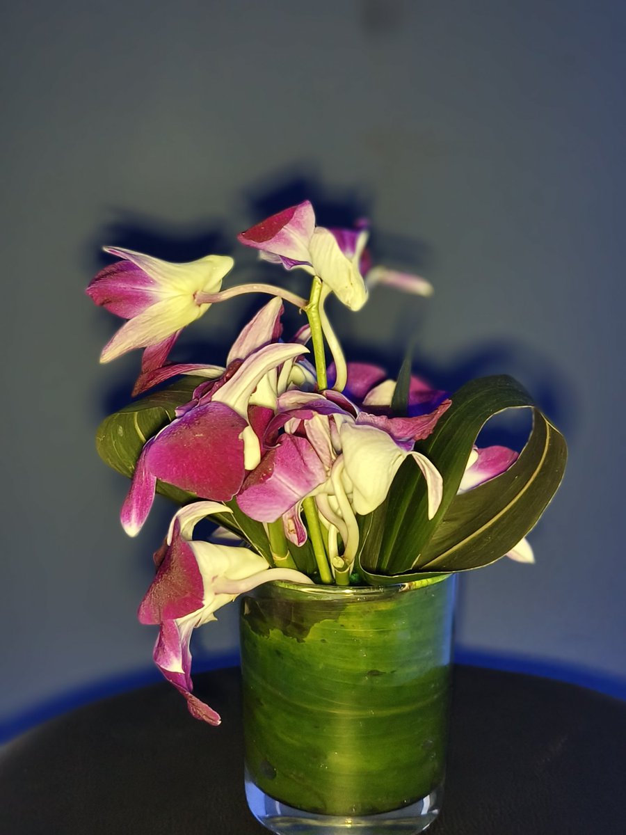 fiibertech's tweet photo. Shots taken on the upcoming Vivo V29 Pro. What do you think of the picture quality?
#v29pro #vivo https://t.co/lRI1M2nYbj