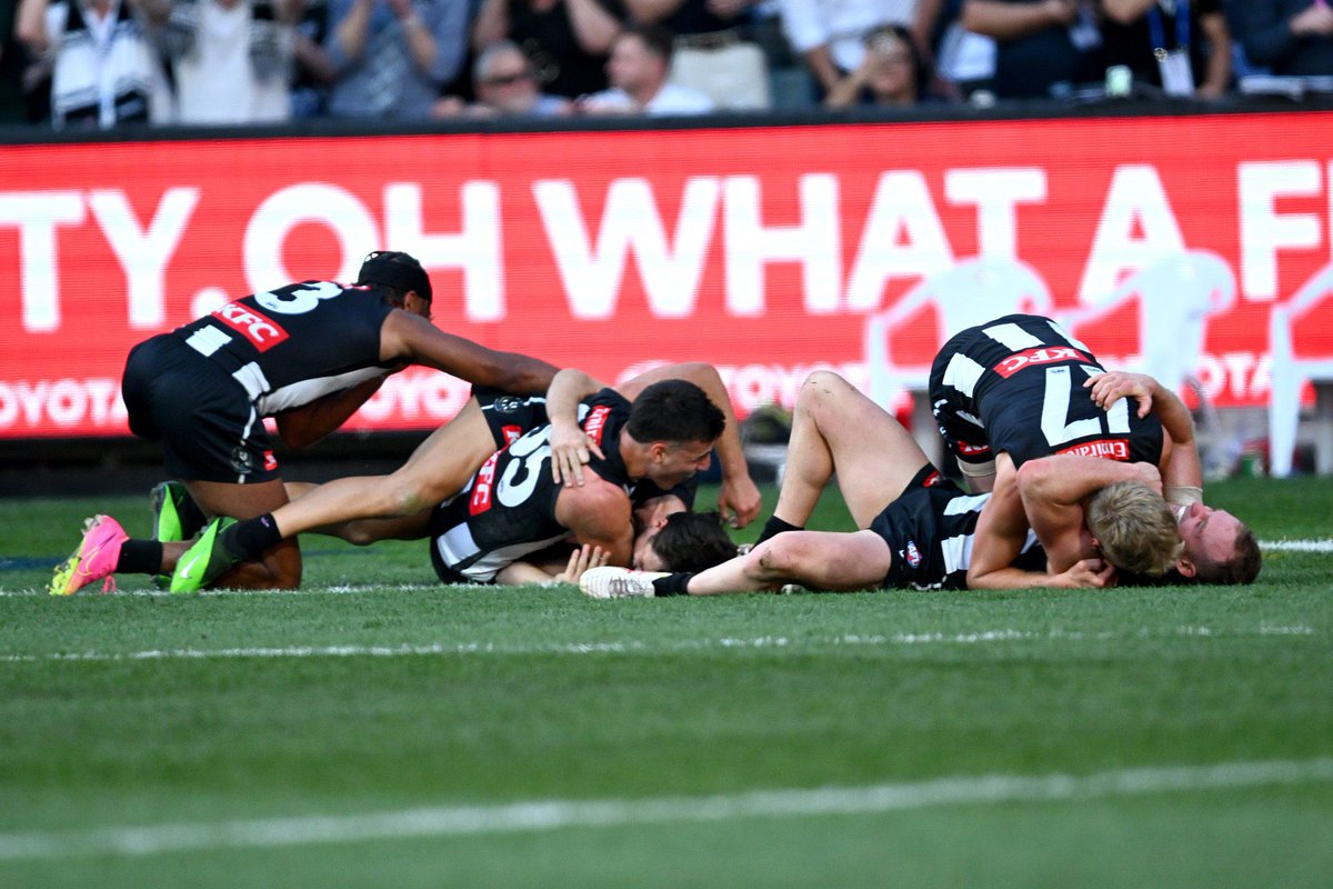 PiesNation tweet media