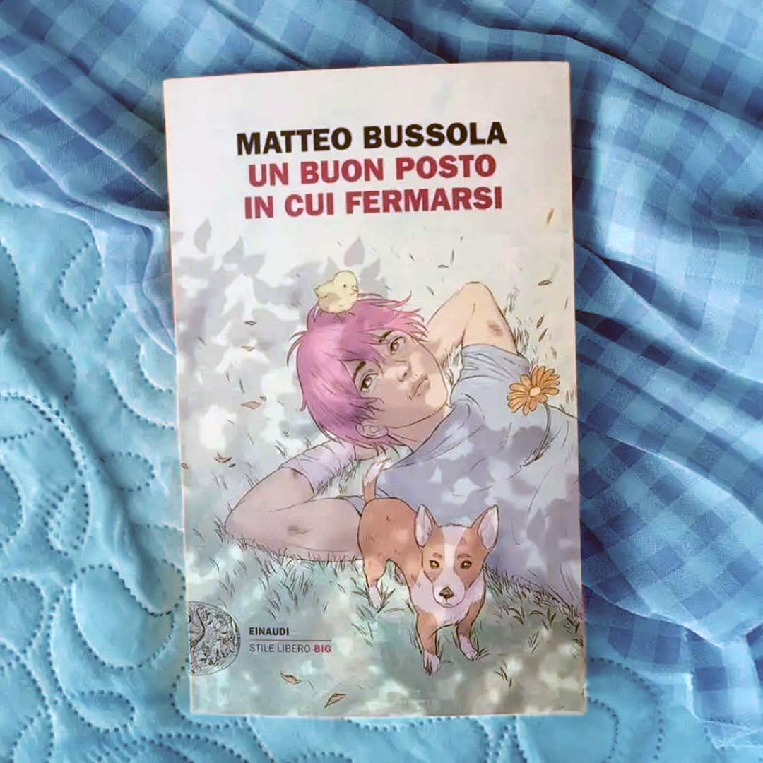 #UnBuonPostoInCuiFermarsi di #MatteoBussola romanzo episodico su uomini alle prese con i propri limiti e fragilità. Scrittura scorrevole, profonda e sferzante. Personaggi credibili e storie toccanti. Un invito a prenderci cura di noi e degli altri, a non temere di chiedere aiuto.