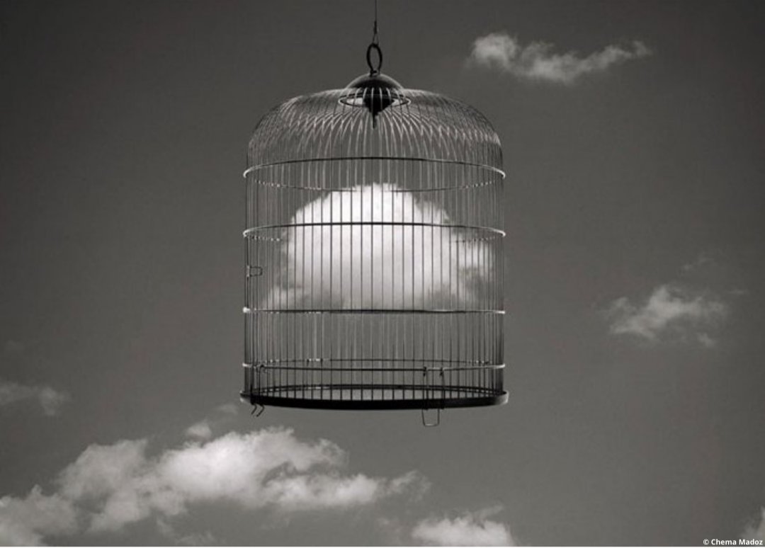 _DAC_oficial's tweet image. En 2013 presentaba su #exposición #Ars #Combinatoria,donde muestra objetos cotidianos combinados de manera novedosa,ubicados en lugares extraños o modificando su aspecto.Todos ellos pretenden representar una #idea del autor.
#photo #photography #PhotographyIsArt #artist