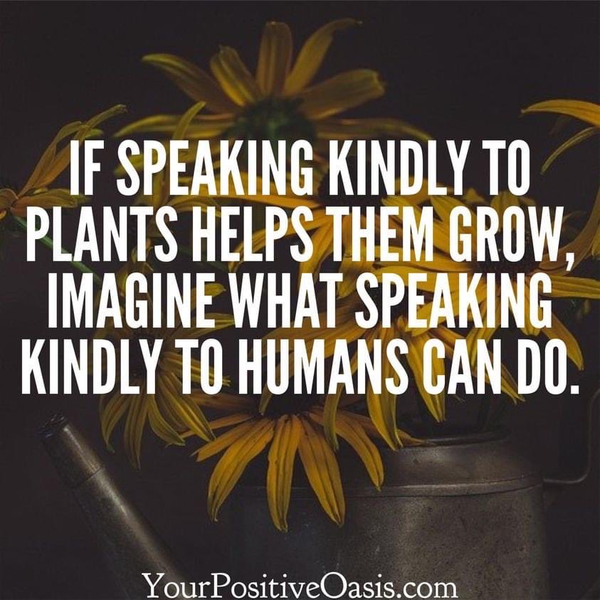 Tricia Morris, Mediator tweet media