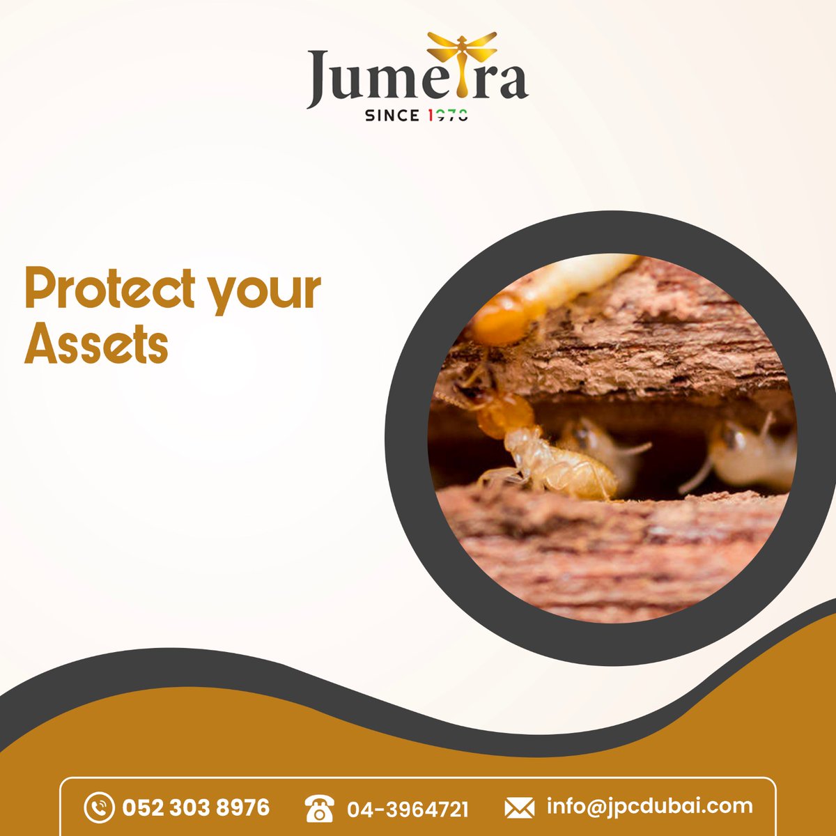 JumeiraServices's tweet photo. Make the eco-switch today for a greener, pest-free tomorrow with Jumeira Services. We’re here to serve you and the community!

#PestControl #pestcontrolservice #pestcontrolservicedubai #dubai  #pestcontrolsolution #jumeirapestcontrol #peaceofmind #jumeiraservices https://t.co/f1rNS22sOx