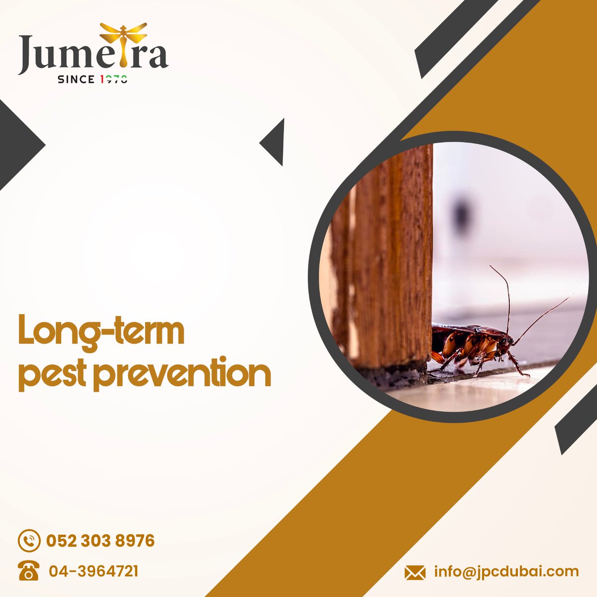 JumeiraServices's tweet photo. Make the eco-switch today for a greener, pest-free tomorrow with Jumeira Services. We’re here to serve you and the community!

#PestControl #pestcontrolservice #pestcontrolservicedubai #dubai  #pestcontrolsolution #jumeirapestcontrol #peaceofmind #jumeiraservices https://t.co/f1rNS22sOx