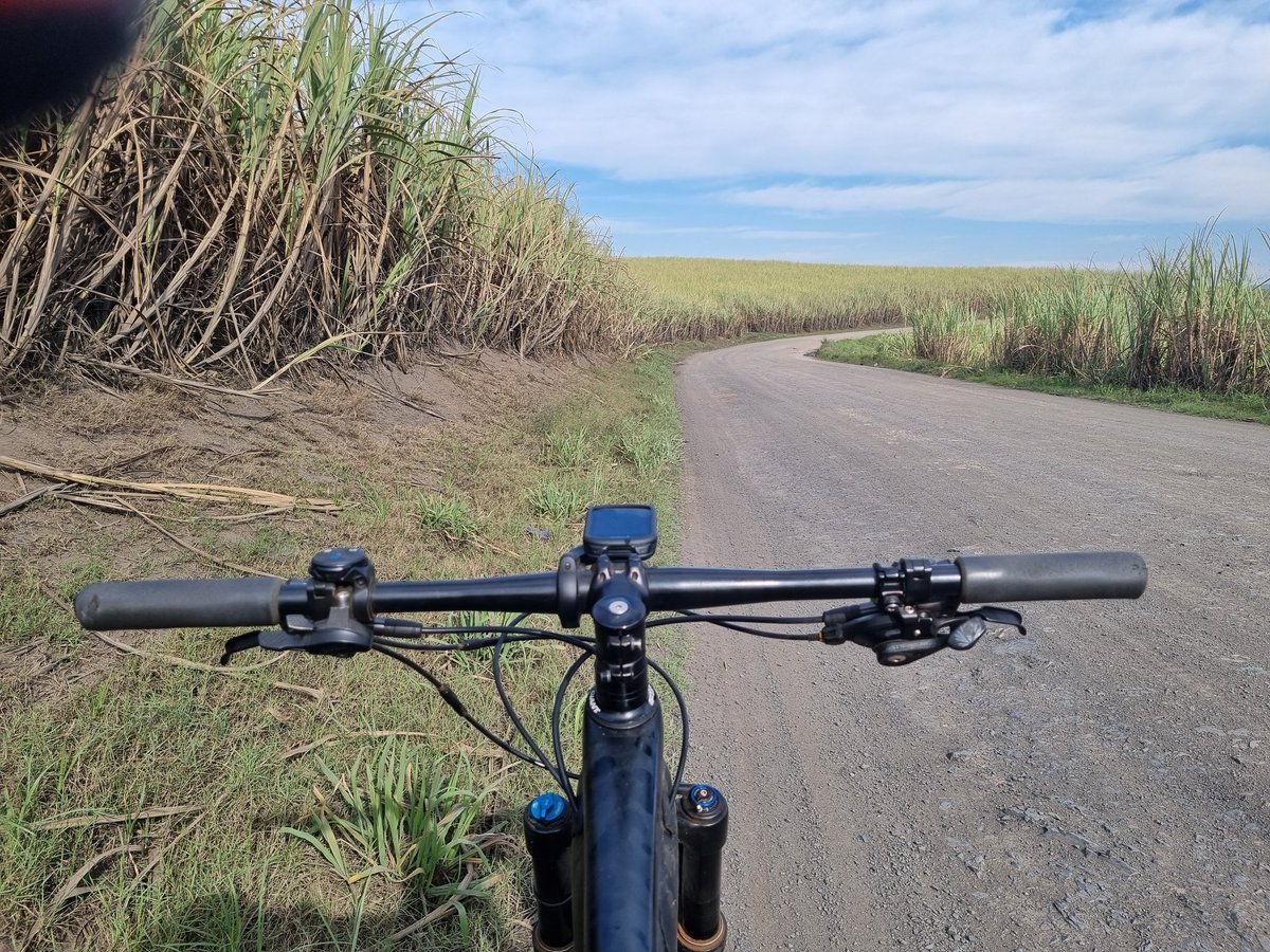 Getting a sugar rush!