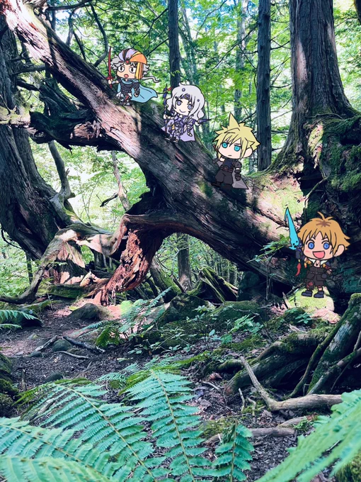険しい山道だ…!