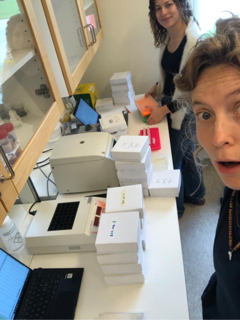 c_dibernardi's tweet image. Last lab steps of @LoanZumbach for her master project done! Sorted back tons of DNA-tubes into the monitoring freezers. Now is time to dig into the data and see what wolves have been up to while recently expanding south in Sweden 💩🐺🐗🦌 #labwork #dietanalysis #DNA #canislupus