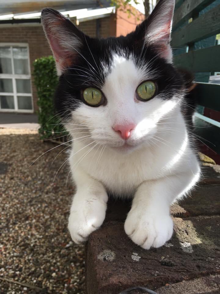 Love this photo of my beautiful green eyed boy ❤️