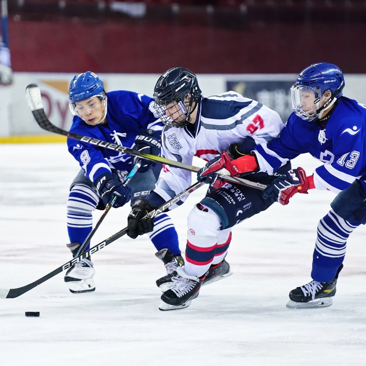 icehockeystream's tweet photo. [2023/9/30] #日本体育大学 2-5 #中央大学

▼
#2023年度関東大学アイスホッケーリーグ戦
#関東大学アイスホッケー
#東京都アイスホッケー連盟
#アイスホッケー #icehockey 
▼
#SonyAlpha #SonyAlpha9 #Sonyα9 #SonyA9 https://t.co/wV4lEi3yMC