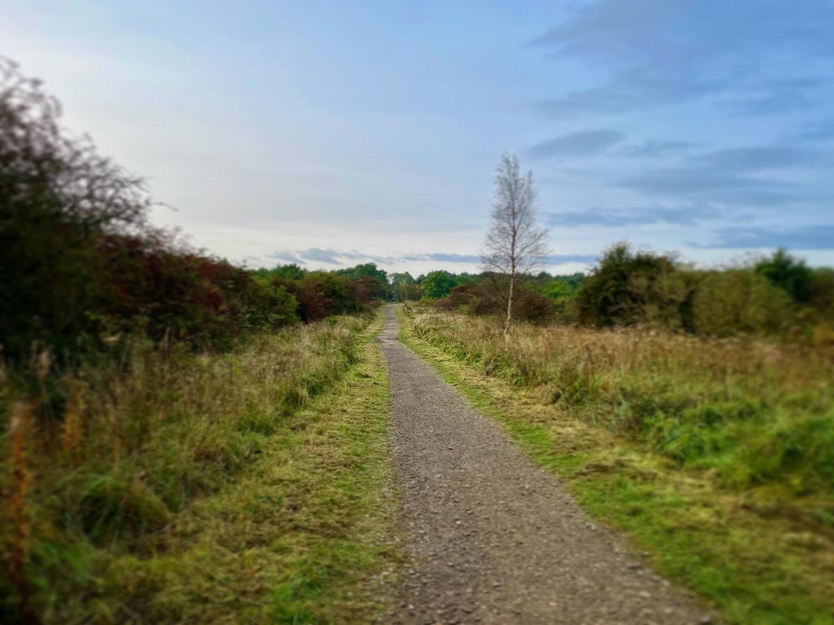 Gorgeous morning run!👊🏻 #autumn #solorun #running #trailrunning #mindfulness #motivation #happyplace #wellbeing #goodforthesoul