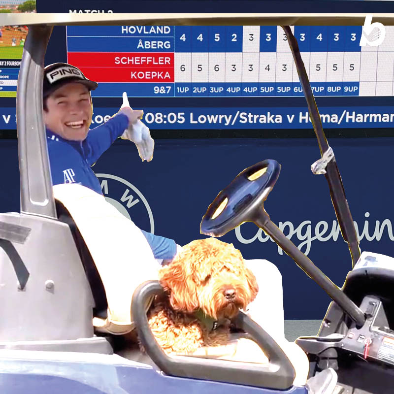 Michael McEwan tweet media