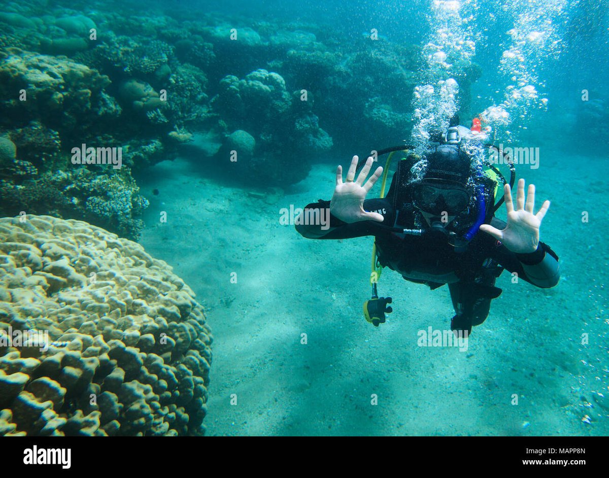 binorable's tweet photo. #AlamyPOTM #AlamyTheBeach
IDs: MAPP8N, PMJANC, 2CW5CGT, 2D04XBF
@AlamyContent https://t.co/b82RKyILr7