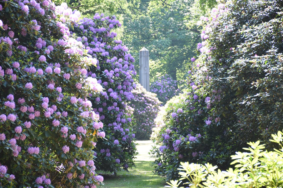 Literarischer Spaziergang: 7. Oktober 14-17 Uhr. Beim #Spaziergang über den Ohlsdorfer Friedhof wird an ihren Gräbern die Situation von Hamburger Künstlerinnen und Künstlern im Nationalsozialismus thematisiert und aus ihren Erzählungen gelesen. Anmeldung: kz-gedenkstaette-neuengamme.de/veranstaltungs…