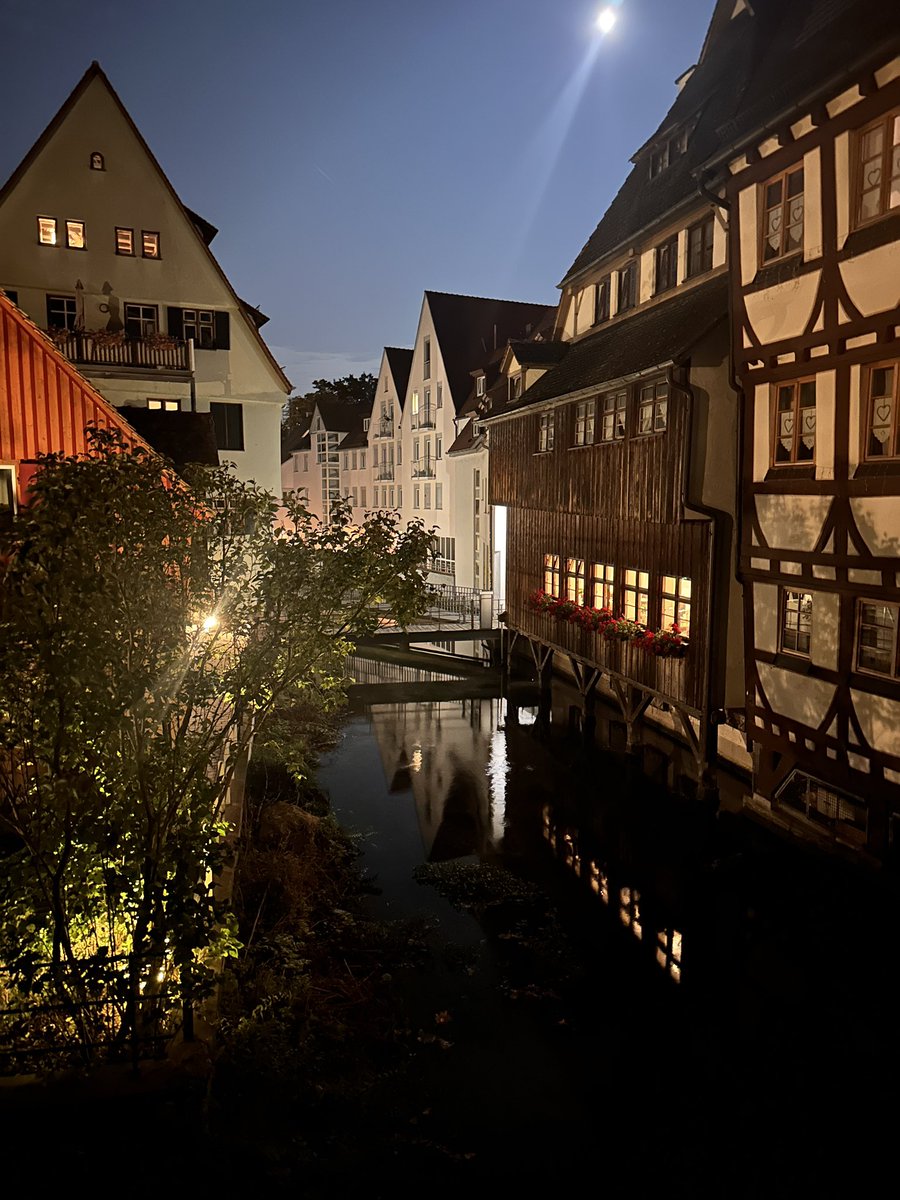 GEBIN 2033 in Ulm ! 

Interesting and well organized congress.