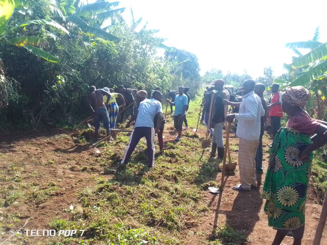 SHYOGWE Sector tweet media