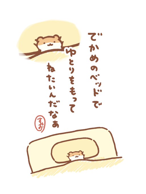 キングサイズ希望 