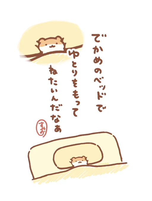 キングサイズ希望 