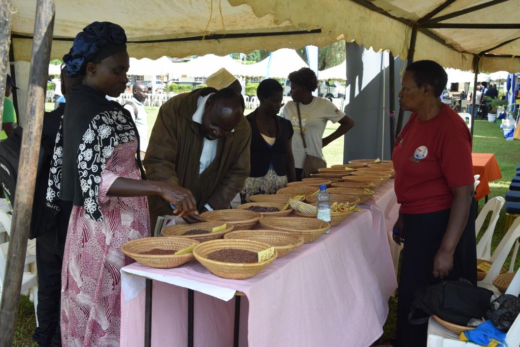 narouganda's tweet photo. Farmers visiting the exhibition stalls at the #seedsofgold farm clinic going on @BulindiZ 

Our staff are on standby to answer any questions/ inquiries regarding the focus commodities: cassava, bananas, apiary and fish. https://t.co/iHWxtGWJy8