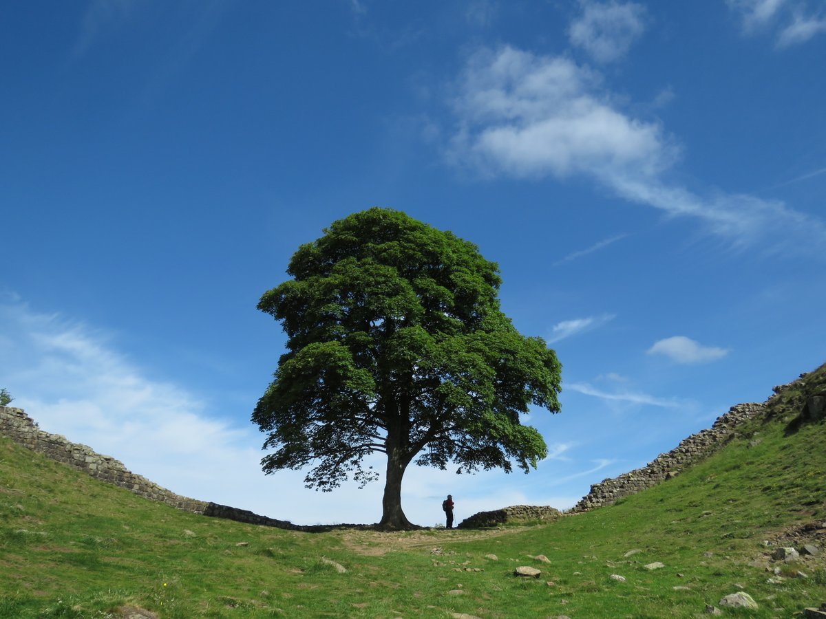 Off the Ground tweet media