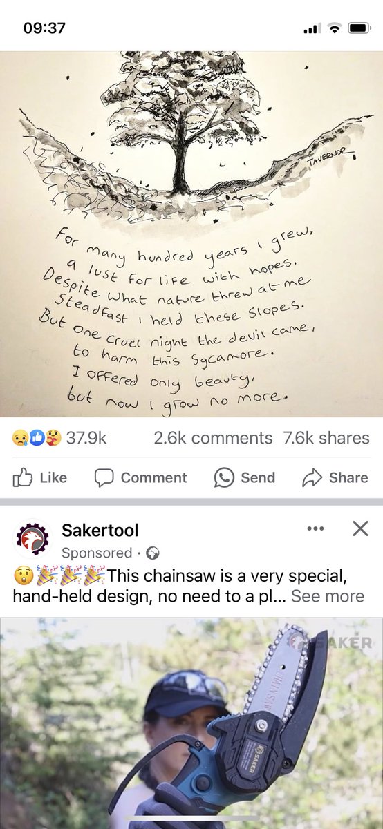 LauraNotley's tweet image. Talk about rubbing salt in the wounds. Still reading from the shock and upset and then this. My Facebook feed this morning. A beautiful drawing and poem about the tree at Sycamore Gap and followed by an advert for a chainsaw.  #toosoon
