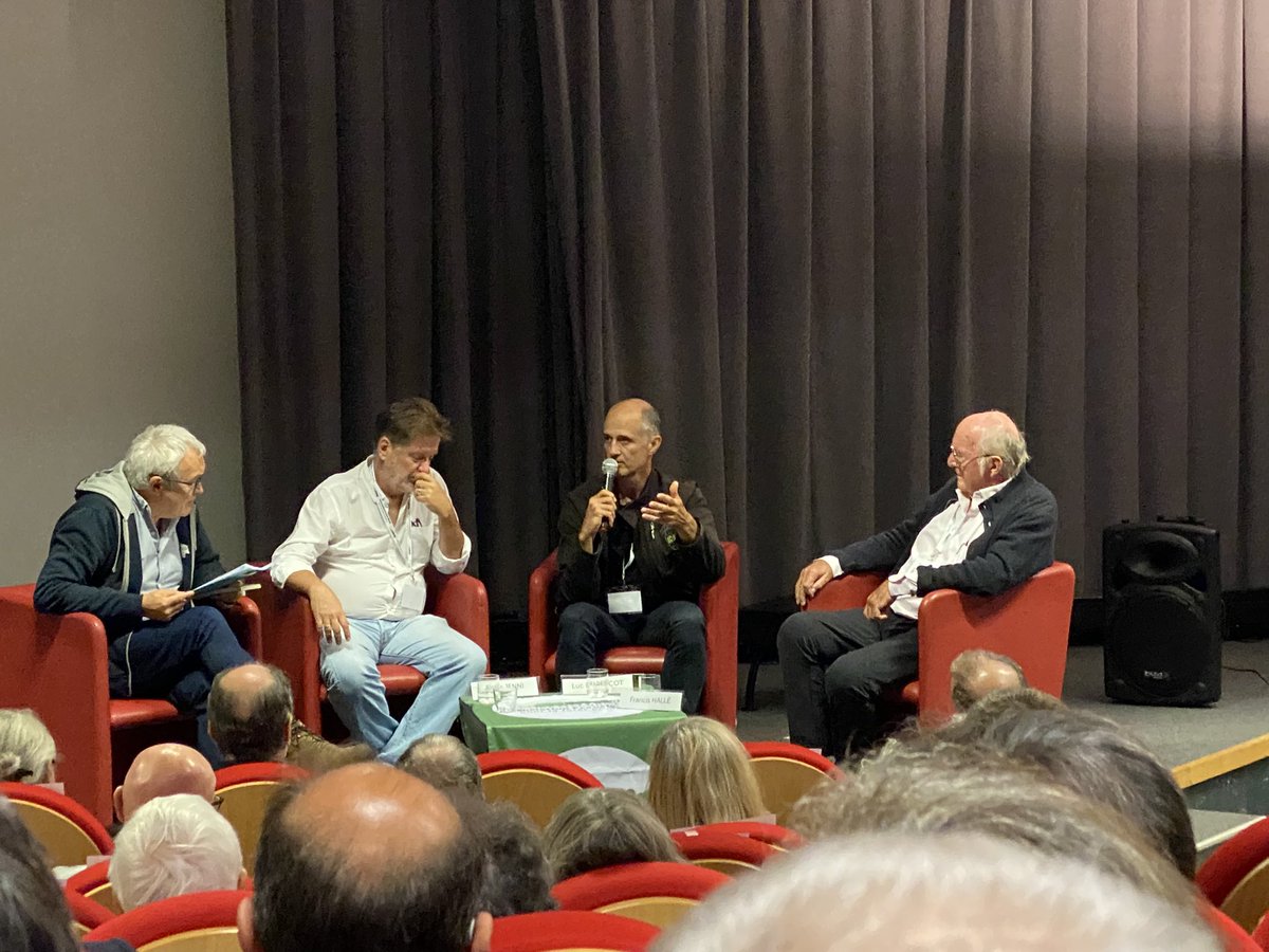 severineboutry's tweet photo. A ne pas manquer en décembre la nouvelle série « les gardiens des arbres » de @MarescotLuc sur @ARTEfr #impact Colloque @AssoFHalleForet #foretprimaire #arbres https://t.co/bGqR3neMEG