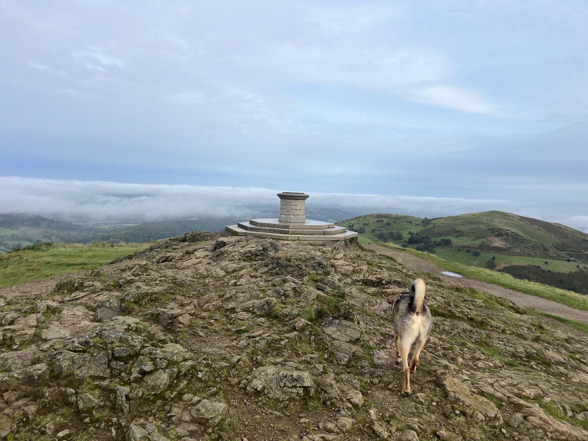 JosieAllan4's tweet photo. Epic walk with Zeb ⭐️🐕🌱💫
‘Not all who wander are lost’ Tolkien
- a spectacular, sunny and misty day.
#MagicSkies
#magichills #Malvern https://t.co/viusxsjkO1