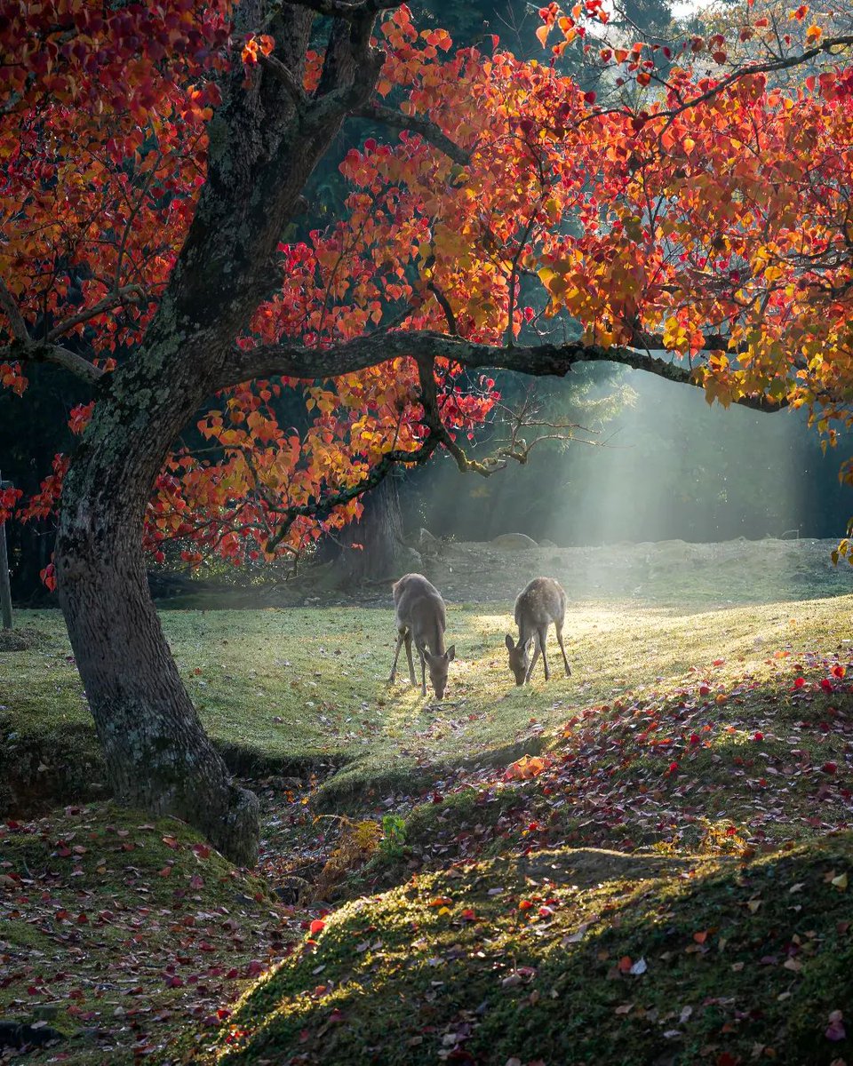 <a href="/TLeoni311/">࿐❥𝖳𝖾𝗋𝖾𝗌𝖺 𝖫 ࿐❥ </a> Beautiful weekend dear Teresa 🌞🌷🤗