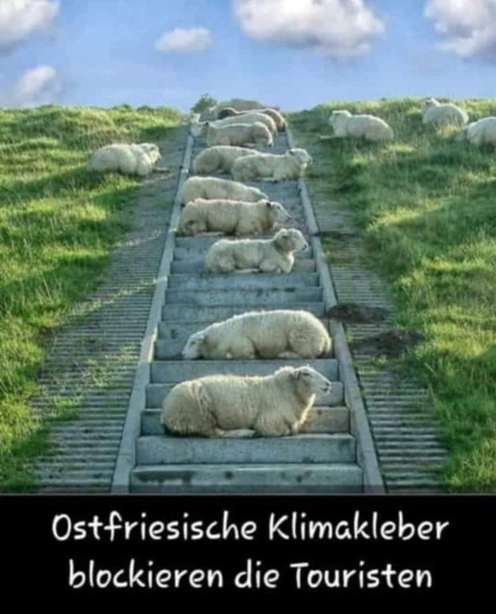 Die Mim  (@kulturbolschewi) on Twitter photo 