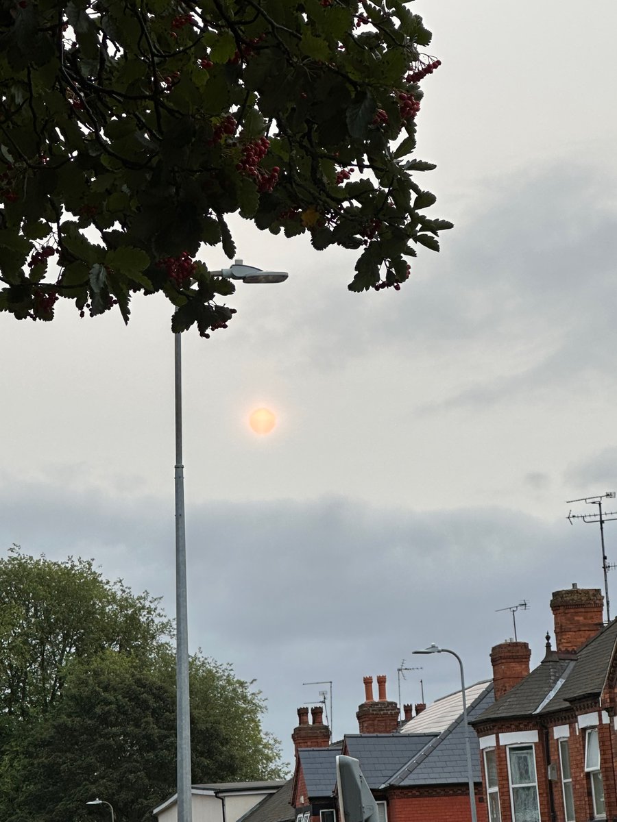 DrMayere's tweet photo. Two cities Same star snapped at same time. https://t.co/9VUxaBIICa