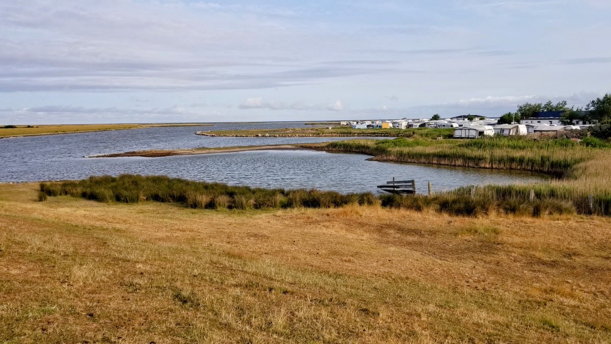 Impressionen von Fehmarn... 
 #Fehmarn #Ostsee #Insel #Ferien #Urlaub #ostseeliebe #küstenliebe #balticsea #meerliebe #schleswigholstein #strand #meerweh #ostseeurlaub #reiselust #ostseekult 
natuerlichfehmarn.de