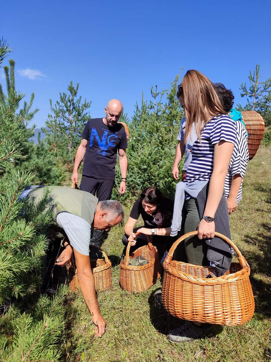 VisitPecka's tweet photo. Škole gljivarstva su počele, 🍄gljive polako pristižu, a mi uživamo u šetnji i učenju 💯✔️✔️✔️ https://t.co/swBW2LLB3b