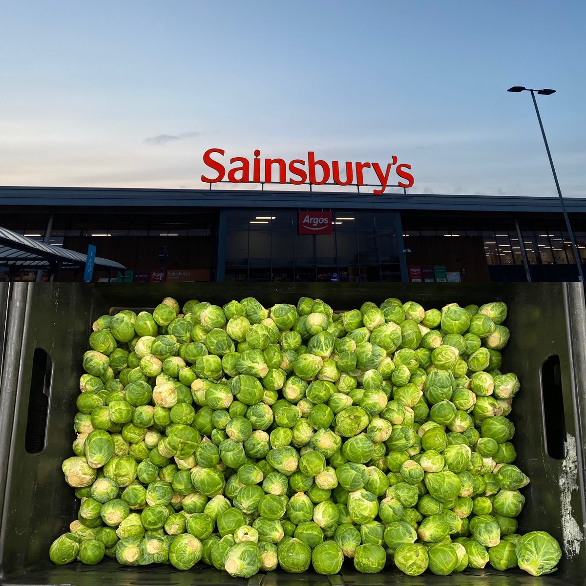 How i see @sainsburys from now until March #Sprouts