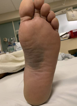 Stephen Morris 🍁 tweet media