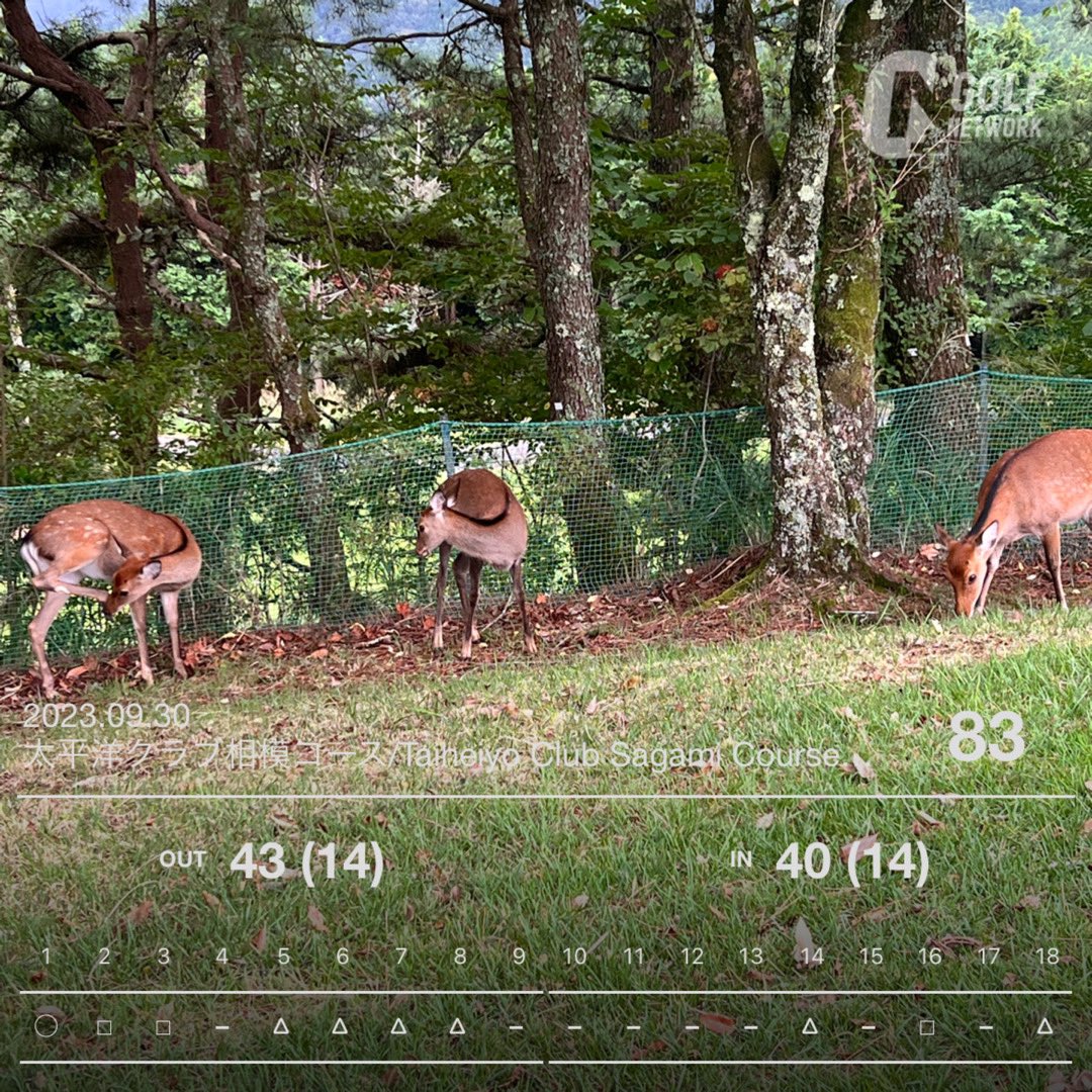 golfnetworkplus's tweet image. 9月最後の中の人 #フォトスコアカード 📷💭 ̖́-

本日は #太平洋クラブ相模コース に行きました( ᜊº-° )ᜊ

少し雨に降られましたが、涼しくいい感じでした︎👍🏻

スコアもまとまり、午後の最初にバーディも取れました⛳️⭕️

9月最後に楽しいゴルフが出来て良かったです·͜· ︎︎ᕷ