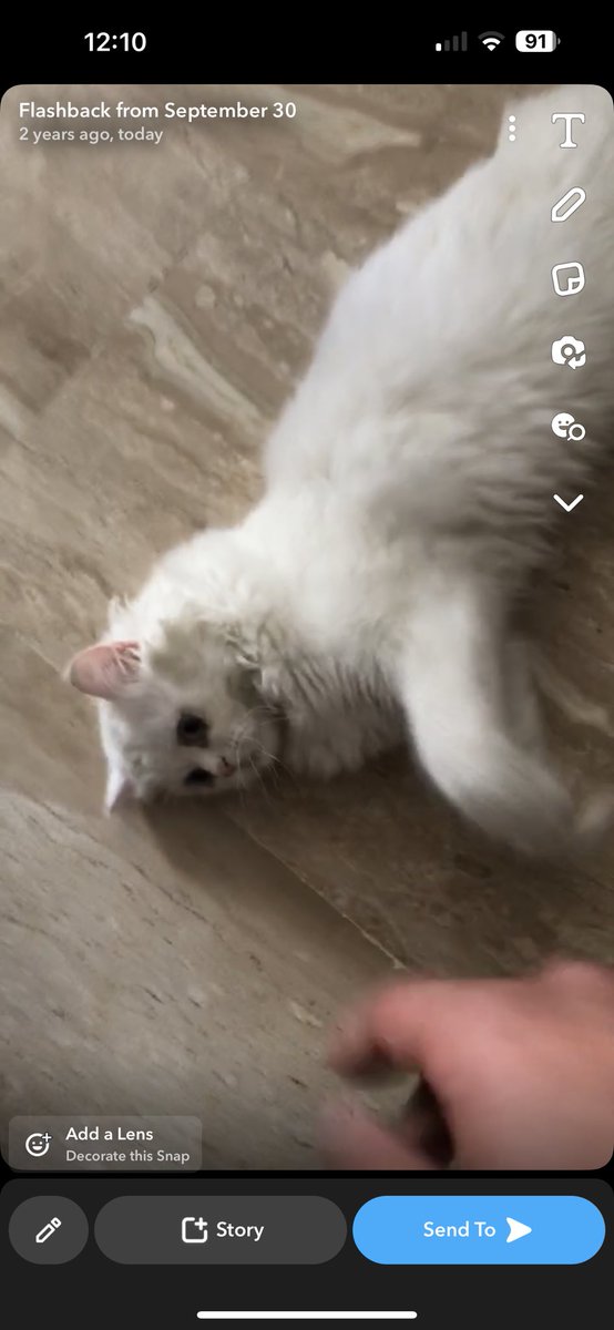 قبل سنتين جبت تهاني
قعدت اسبوع و ماتت الحزينة